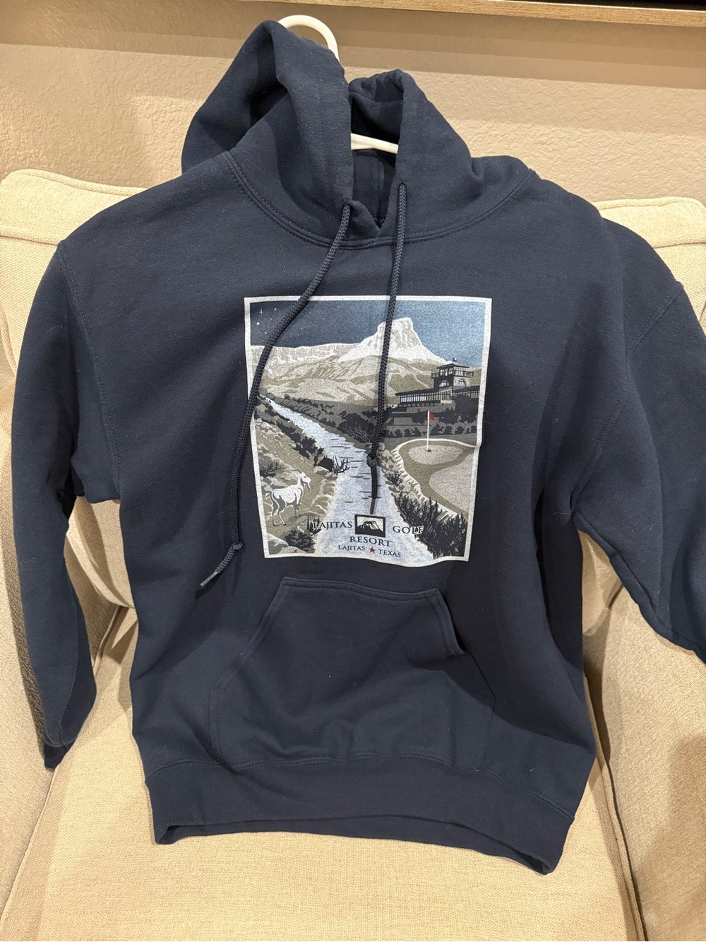 Navy Pullover Hoodie with Scenic Graphic